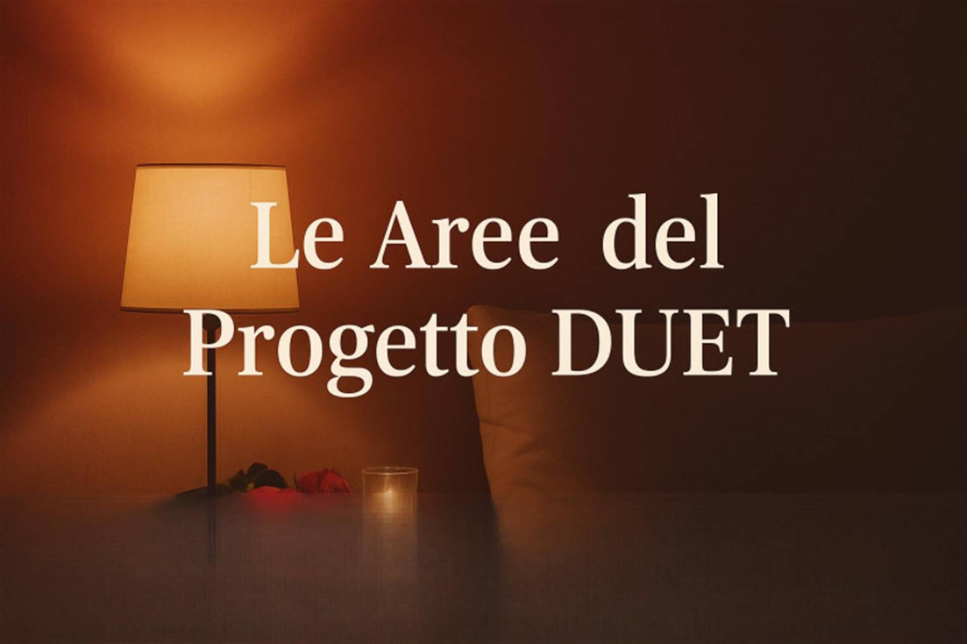 le aree del progetto Duet-107.jpg